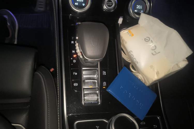 Used Hongqi H9 2020 2.0T Smart Connect Flagship Edition Gear Lever