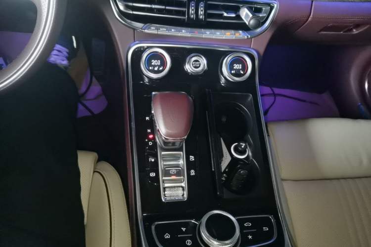 Used Hongqi H9 2020 3.0T Smart Connect Flagship Four-Seat Version Gear Lever