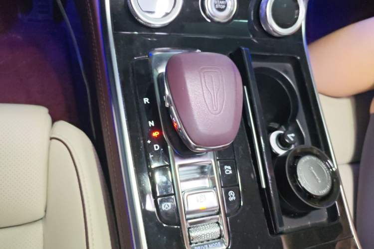 Used Hongqi H9 2020 2.0T Smart Connect Flagship Edition Gear Lever