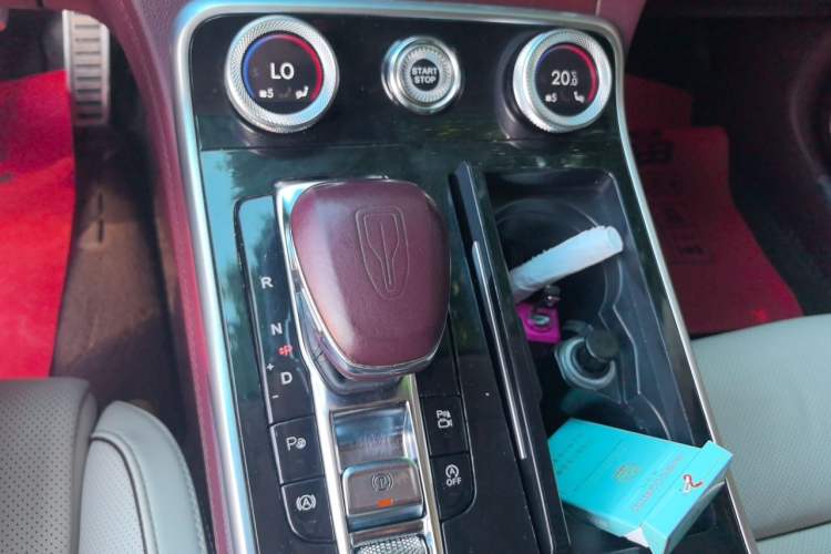 Used Hongqi H9 2020 2.0T Smart Connect Flagship Edition Gear Lever