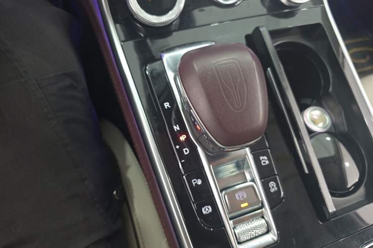 Used Hongqi H9 2020 2.0T Smart Connect Flagship Edition Gear Lever