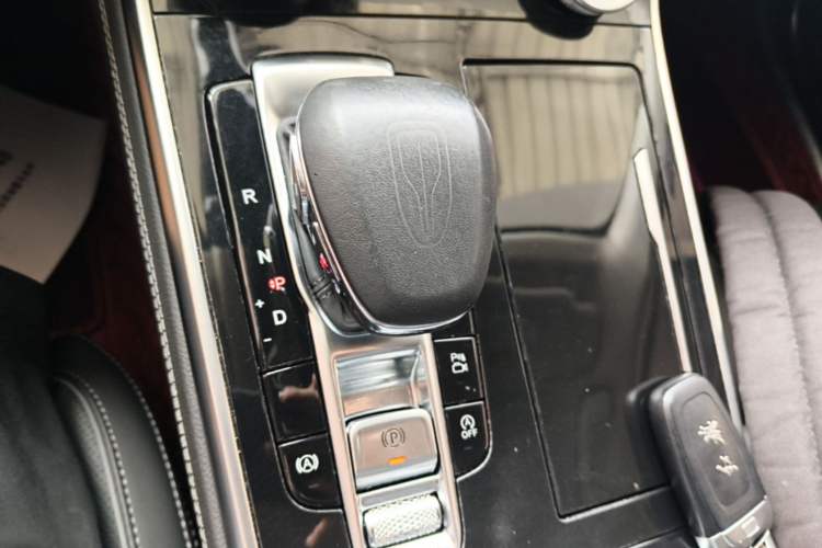Used Hongqi H9 2020 2.0T Smart Connect Flagship Edition Gear Lever