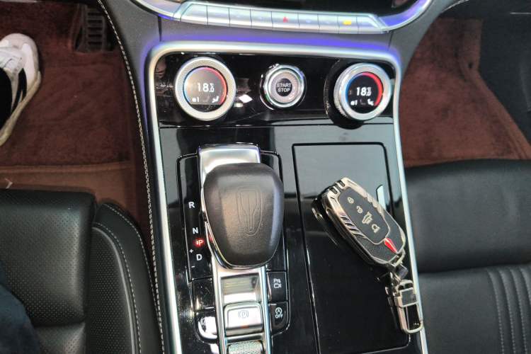 Used Hongqi H9 2020 2.0T Smart Connect Flagship Edition Gear Lever