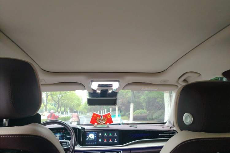 Used Hongqi H9 2020 2.0T Smart Connect Flagship Edition Headliner