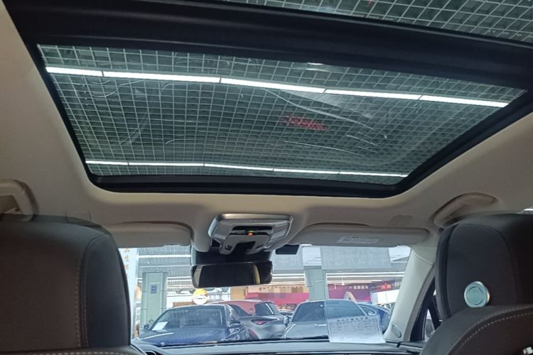 Used Hongqi H9 2020 3.0T Smart Connect Flagship Edition Headliner