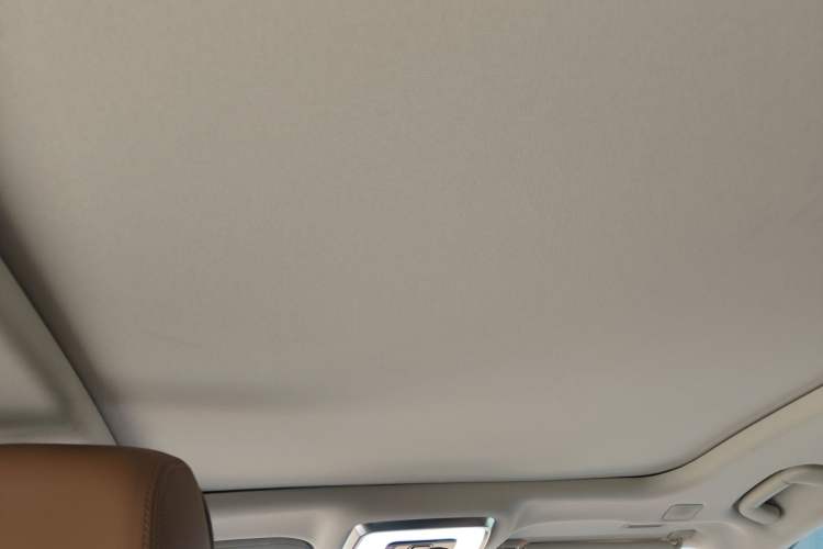 Used Hongqi H9 2020 2.0T Smart Connect Flagship Edition Headliner