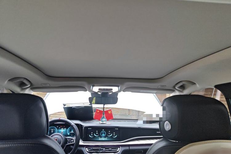 Used Hongqi H9 2020 2.0T Smart Connect Flagship Edition Headliner