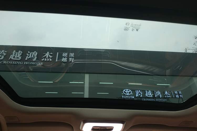 Used Hongqi H9 2020 2.0T Smart Connect Flagship Edition Headliner