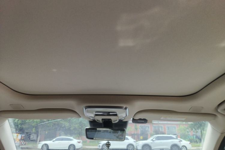 Used Hongqi H9 2020 2.0T Smart Connect Flagship Edition Headliner
