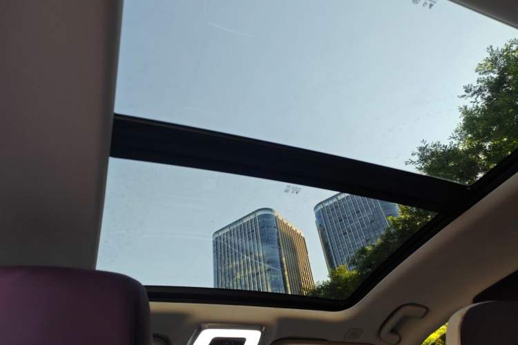 Used Hongqi H9 2020 2.0T Smart Connect Flagship Edition Headliner