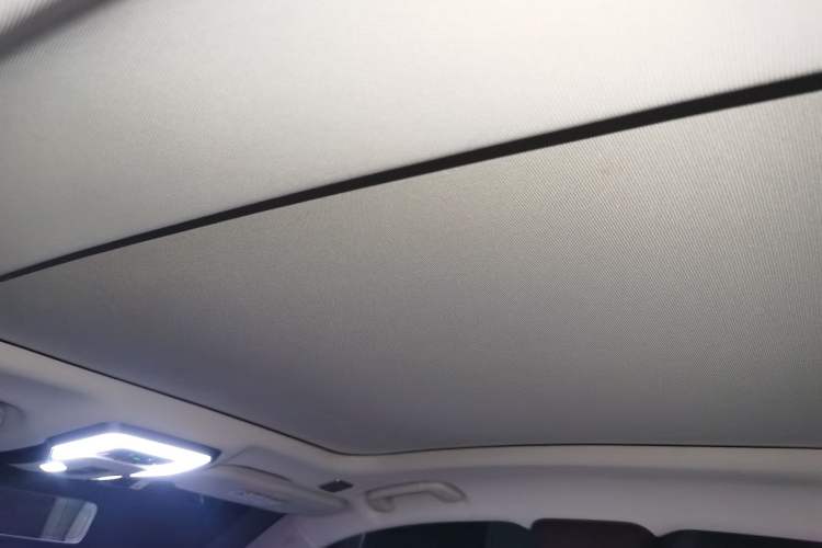 Used Hongqi H9 2020 2.0T Smart Connect Flagship Edition Headliner