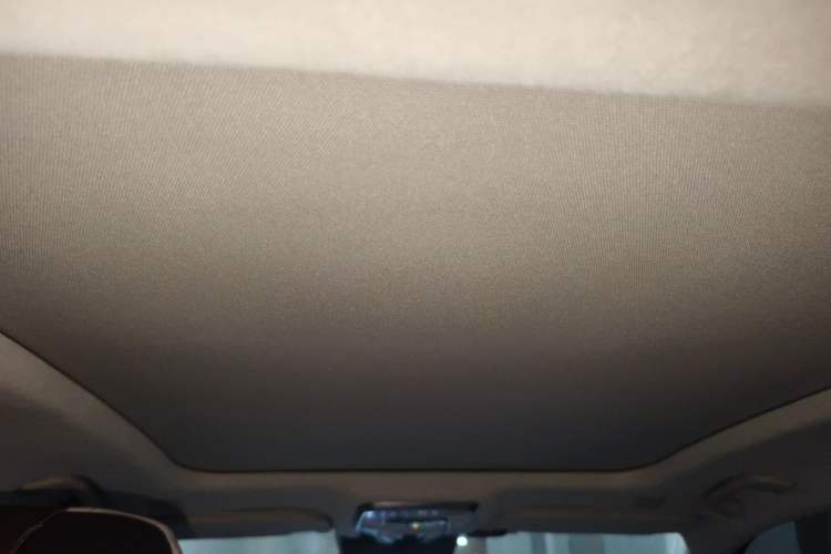 Used Hongqi H9 2020 Revised Version 2.0T Smart Connect Flagship Edition Headliner