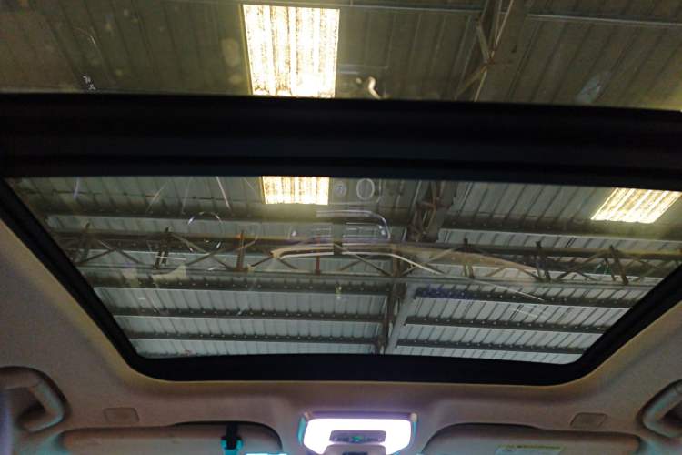 Used Hongqi H9 2020 3.0T Smart Connect Flagship Edition Headliner