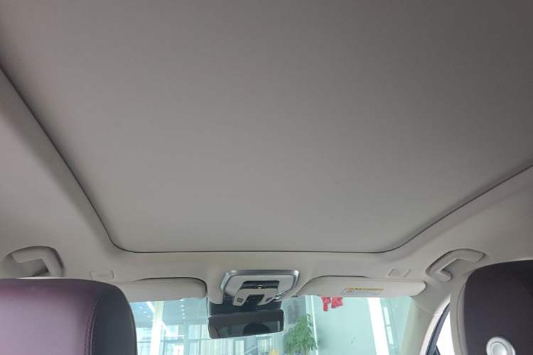 Used Hongqi H9 2020 2.0T Smart Connect Flagship Edition Headliner