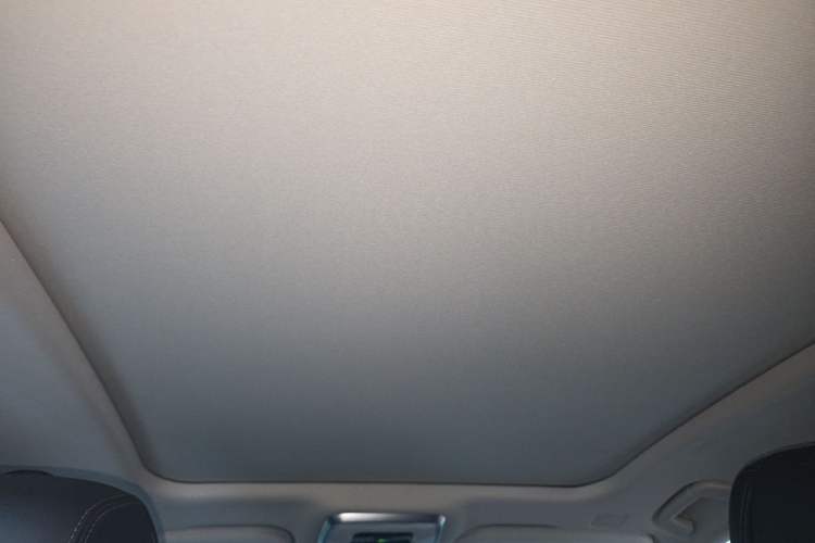 Used Hongqi H9 2020 Revised Version 2.0T Smart Connect Flagship Edition Headliner