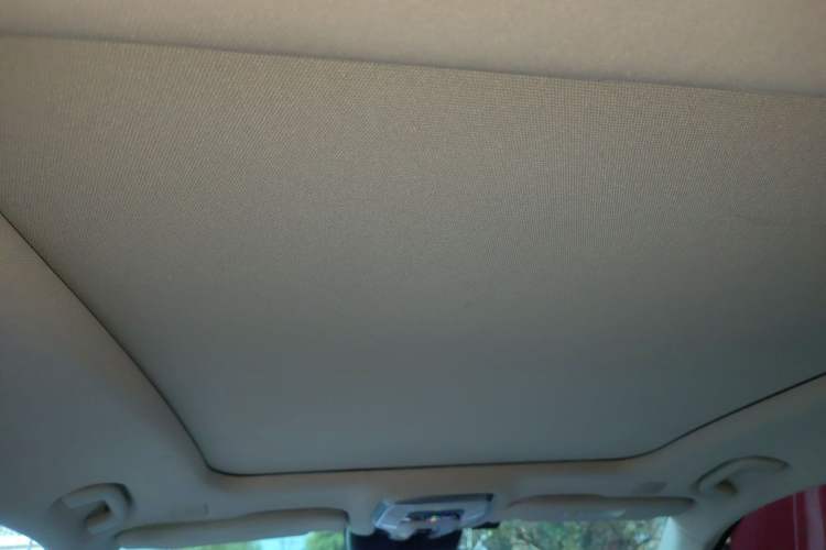 Used Hongqi H9 2020 2.0T Smart Connect Flagship Edition Headliner
