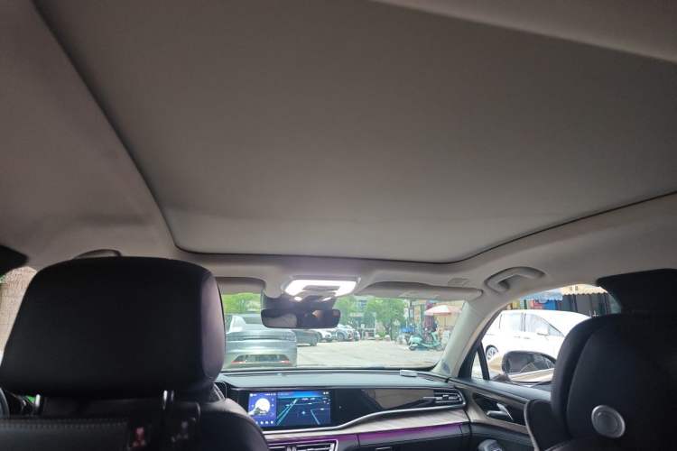 Used Hongqi H9 2020 2.0T Smart Connect Flagship Edition Headliner