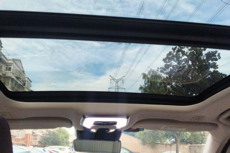 Used Hongqi H9 2020 2.0T Smart Connect Flagship Edition Headliner