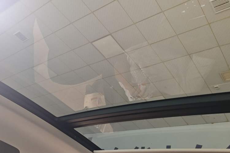 Used Hongqi H9 2020 2.0T Smart Connect Flagship Edition Headliner