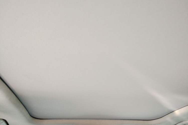 Used Hongqi H9 2020 3.0T Smart Connect Flagship Four-Seat Version Headliner