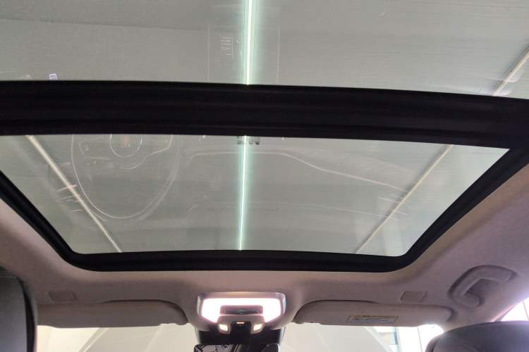 Used Hongqi H9 2020 2.0T Smart Connect Flagship Edition Headliner