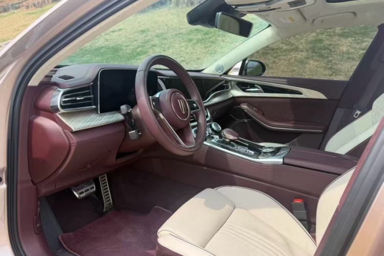 Used Hongqi H9 2020 3.0T Smart Connect Flagship Four-Seat Version Interior 3