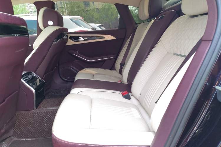 Used Hongqi H9 2020 2.0T Smart Connect Flagship Edition Left Rear Seat