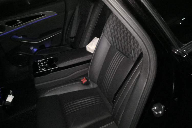 Used Hongqi H9 2020 2.0T Smart Connect Flagship Edition Left Rear Seat