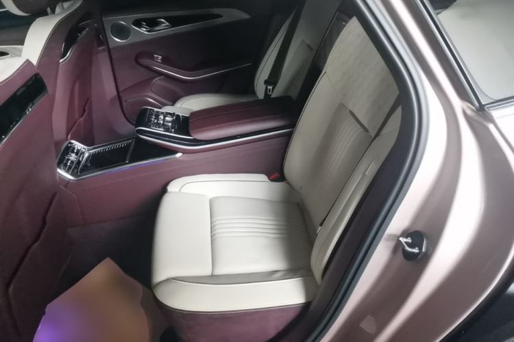 Used Hongqi H9 2020 3.0T Smart Connect Flagship Four-Seat Version Left Rear Seat