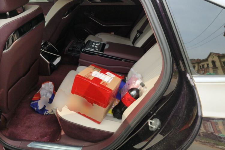 Used Hongqi H9 2020 2.0T Smart Connect Flagship Edition Left Rear Seat