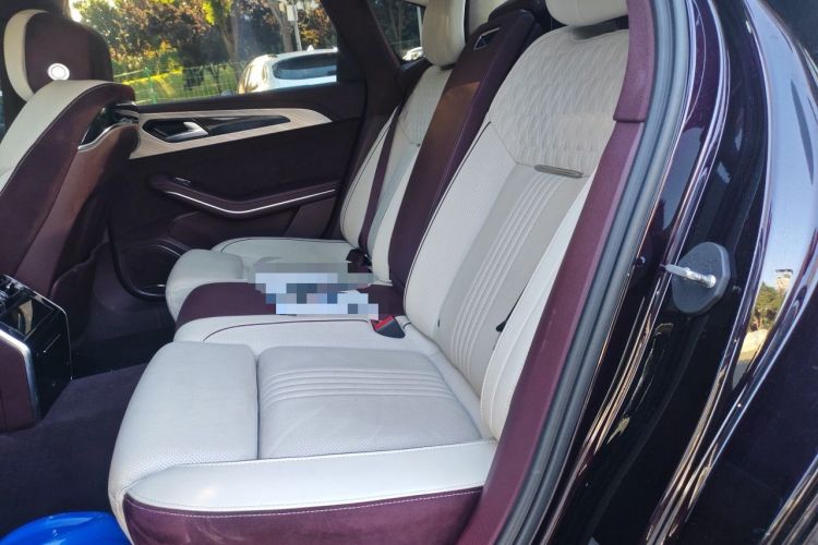Used Hongqi H9 2020 2.0T Smart Connect Flagship Edition Left Rear Seat