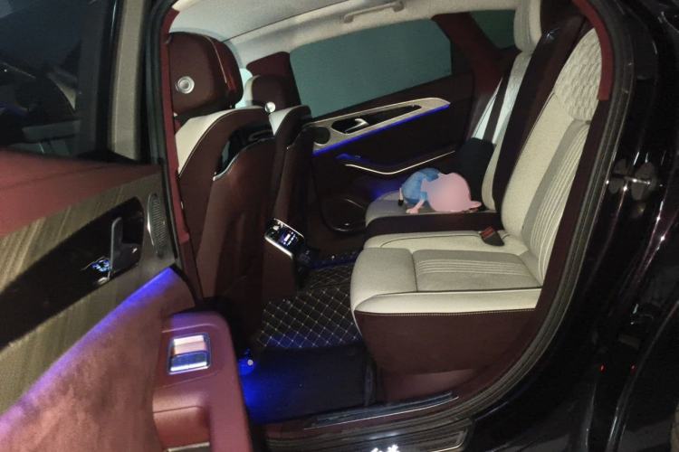 Used Hongqi H9 2020 Revised Version 2.0T Smart Connect Flagship Edition Left Rear Seat