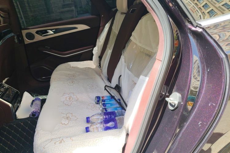 Used Hongqi H9 2020 2.0T Smart Connect Flagship Edition Left Rear Seat