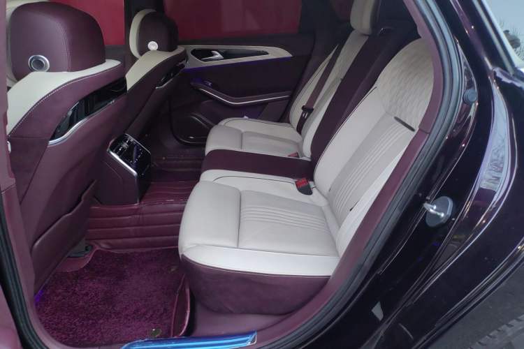 Used Hongqi H9 2020 2.0T Smart Connect Flagship Edition Left Rear Seat