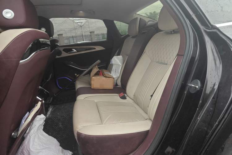 Used Hongqi H9 2020 2.0T Smart Connect Flagship Edition Left Rear Seat