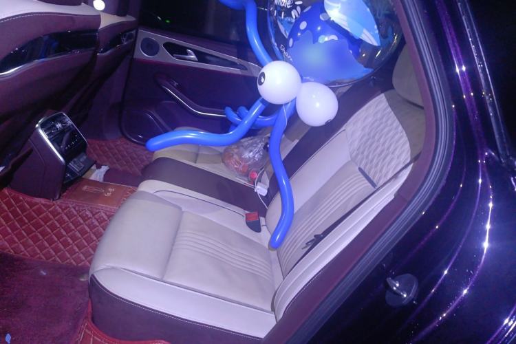 Used Hongqi H9 2020 2.0T Smart Connect Flagship Edition Left Rear Seat
