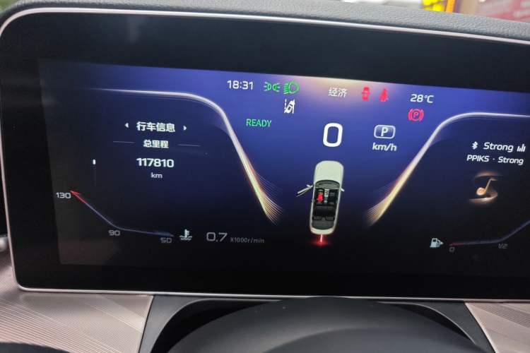 Used Hongqi H9 2020 2.0T Smart Connect Flagship Edition Odometer Close Up