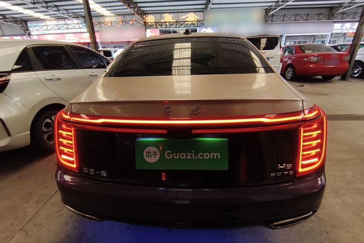 Used Hongqi H9 2020 3.0T Smart Connect Flagship Edition Rear