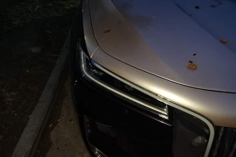 Used Hongqi H9 2020 2.0T Smart Connect Flagship Edition Right Front Headlight
