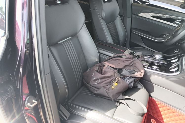 Used Hongqi H9 2020 2.0T Smart Connect Flagship Edition Right Front Seat