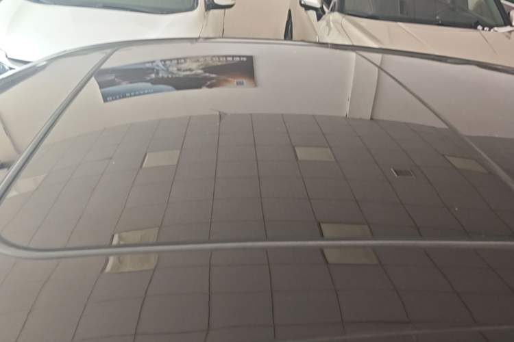 Used Hongqi H9 2020 2.0T Smart Connect Flagship Edition Roof