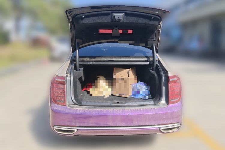 Used Hongqi H9 2020 2.0T Smart Connect Flagship Edition Trunk