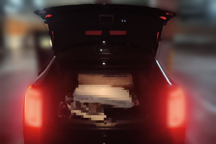 Used Hongqi H9 2020 2.0T Smart Connect Flagship Edition Trunk
