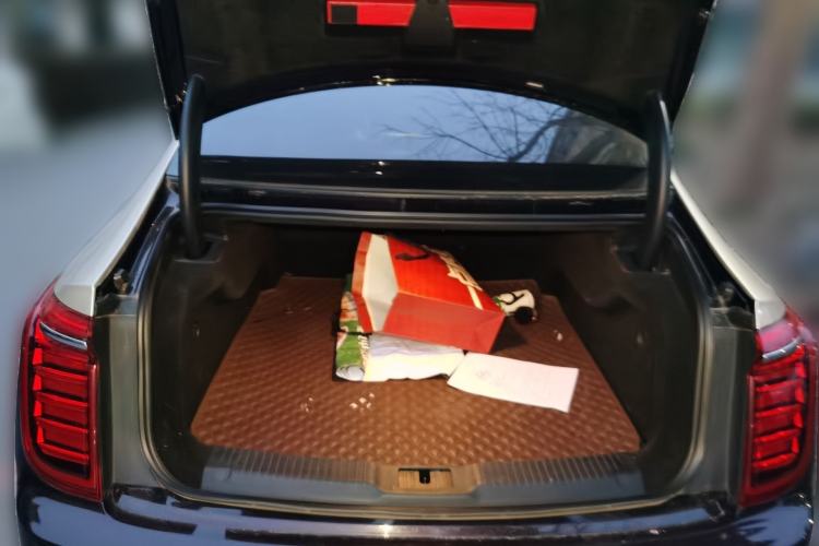 Used Hongqi H9 2020 2.0T Smart Connect Flagship Edition Trunk