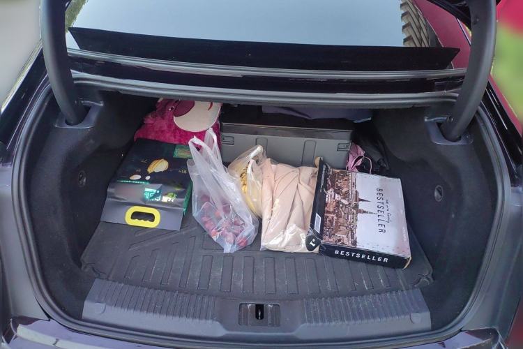 Used Hongqi H9 2020 2.0T Smart Connect Flagship Edition Trunk