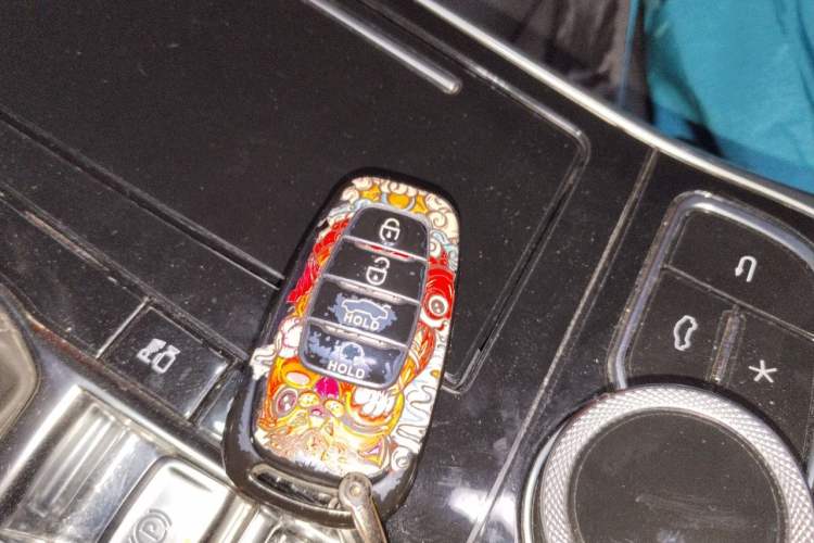 Used Hongqi H9 2020 2.0T Smart Connect Flagship Edition Vehicle Key