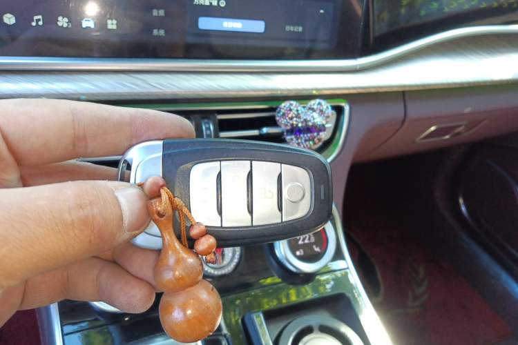 Used Hongqi H9 2020 2.0T Smart Connect Flagship Edition Vehicle Key