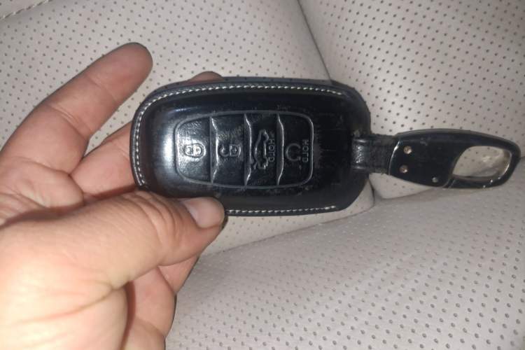 Used Hongqi H9 2020 2.0T Smart Connect Flagship Edition Vehicle Key