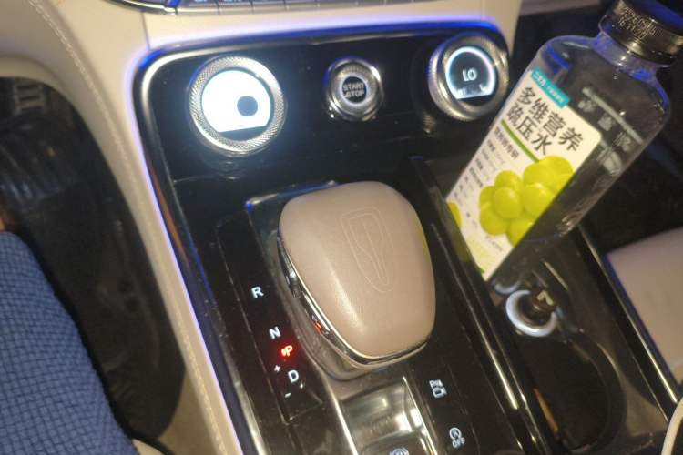 Used Hongqi H9 2020 2.0T Smart Connect Flagship Edition Gear Lever