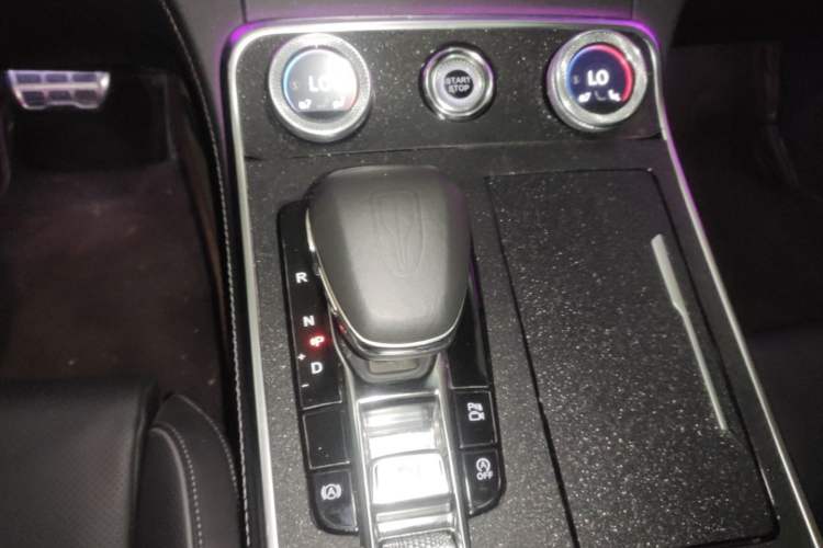 Used Hongqi H9 2020 2.0T Smart Connect Flagship Edition Gear Lever